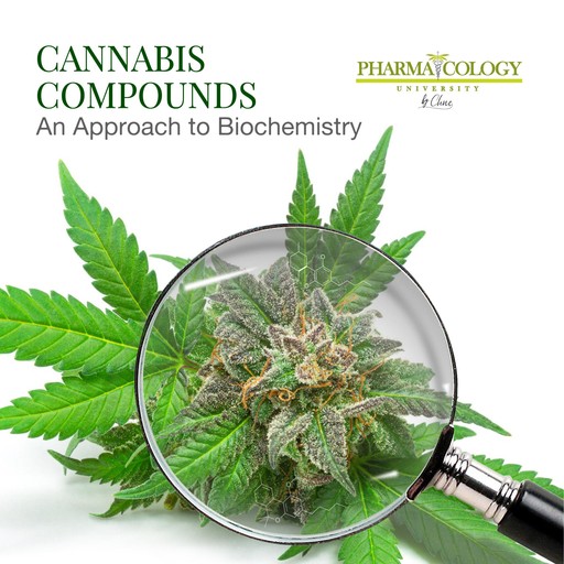 Cannabis Compounds, Pharmacology University