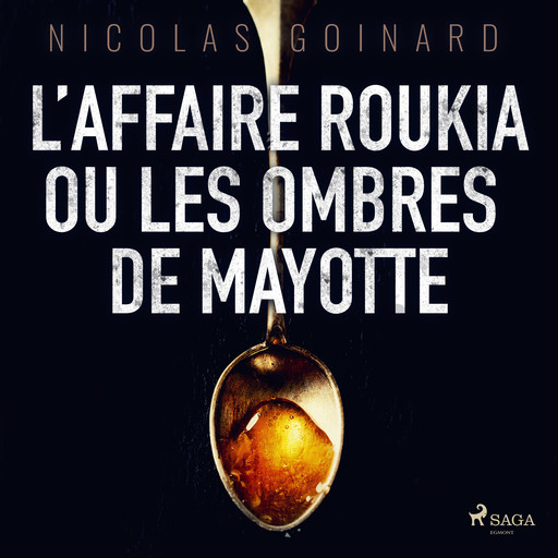 L’Affaire Roukia ou les Ombres de Mayotte, Nicolas Goinard