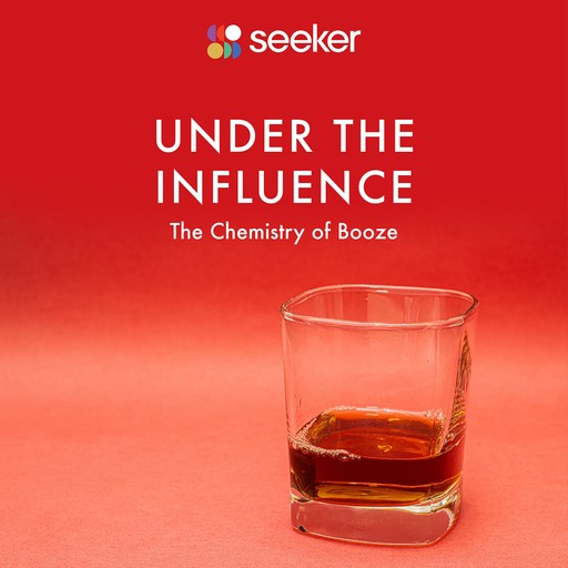 Under the Influence, Seeker