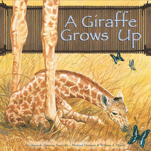 A Giraffe Grows Up, Amanda Doering Tourville