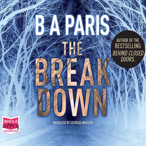 The Breakdown, B.A. Paris