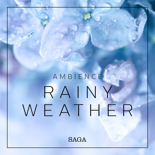 Ambience - Rainy Weather, Rasmus Broe