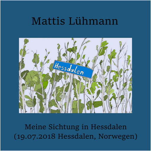 Meine Sichtung in Hessdalen (19.07.2018 Hessdalen, Norwegen), Mattis Lühmann