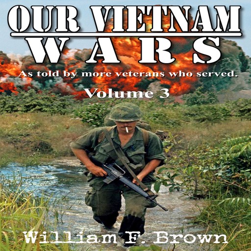 Our Vietnam Wars, Volume 3, William F. Brown