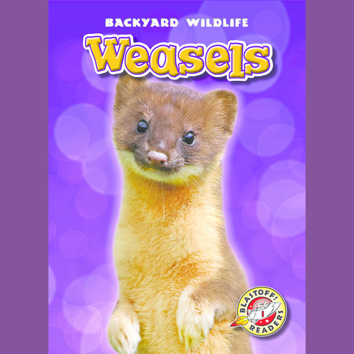 Weasels, Megan Borgert-Spaniol