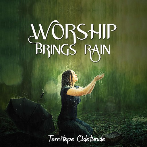 Worship Brings Rain, Temitope Odetunde