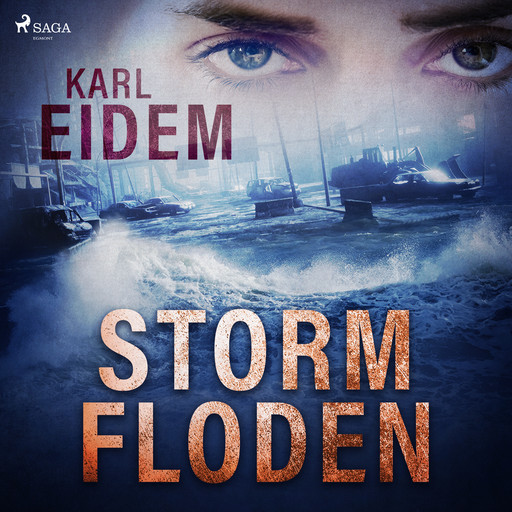 Stormfloden, Karl Eidem