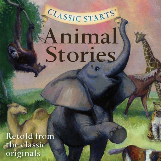 Animal Stories, Diane Namm