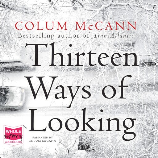 Thirteen Ways of Looking, Colum McCann