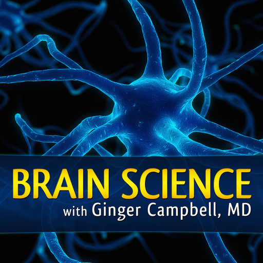 BS 156 Russell Poldrack talks about Brain Imaging (fMRI), Ginger Campbell