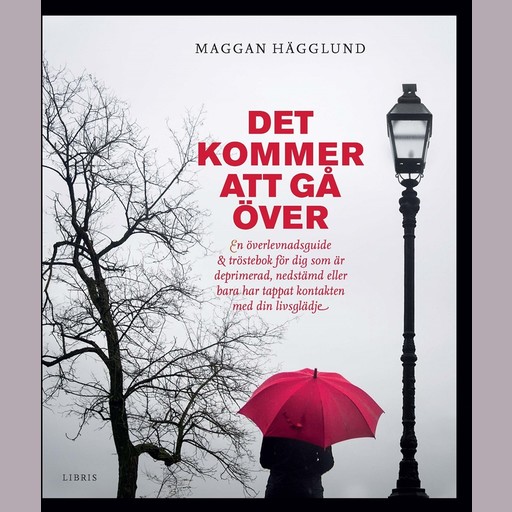 Det kommer att gå över, Maggan Hägglund