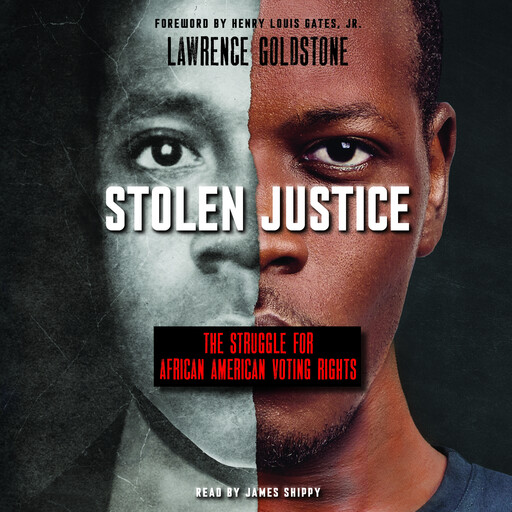 Stolen Justice: The Struggle for African American Voting Rights (Scholastic Focus), Lawrence Goldstone