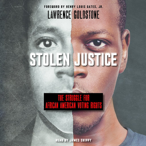 Stolen Justice: The Struggle for African American Voting Rights (Scholastic Focus), Lawrence Goldstone