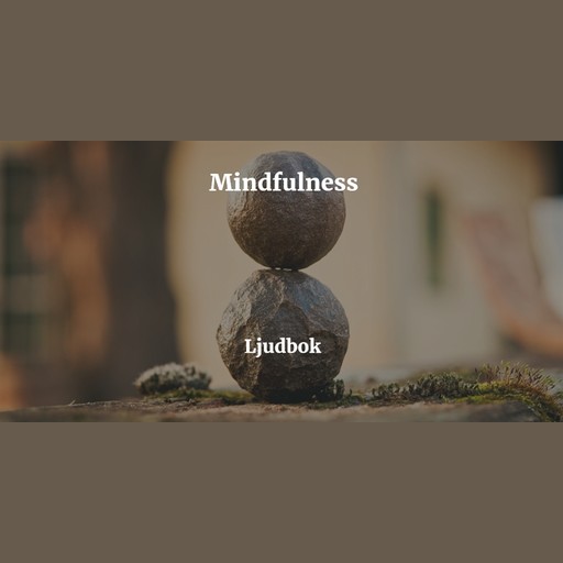Mindfulness Meditation – Meditera bort din stress, Rolf Jansson