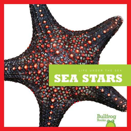 Sea Stars, Cari Meister