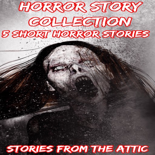 Horror Story Collection, Stories From The Attic