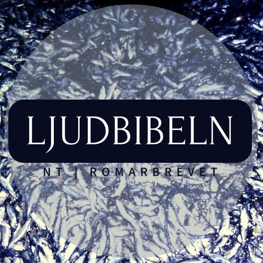 NT | Romarbrevet, Ljudbibeln