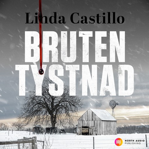 Bruten tystnad, Linda Castillo