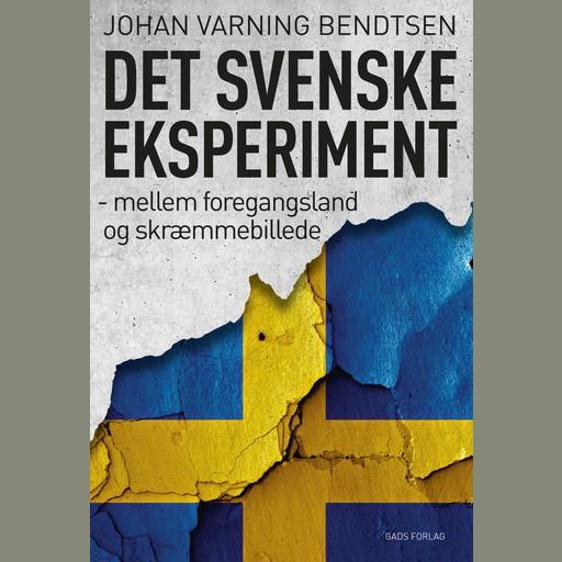 Det svenske eksperiment, Johan Varning Bendtsen