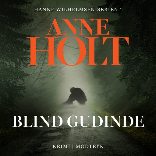 Blind gudinde, Anne Holt
