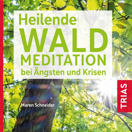 Heilende Waldmeditation bei Ängsten und Krisen, Maren Schneider