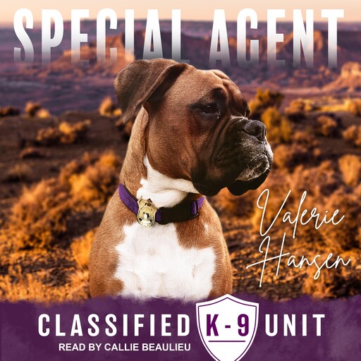Special Agent, Valerie Hansen