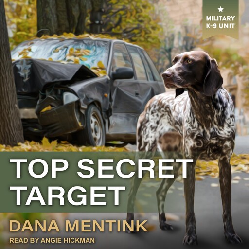 Top Secret Target, Dana Mentink
