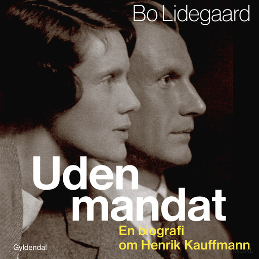 Uden mandat, Bo Lidegaard