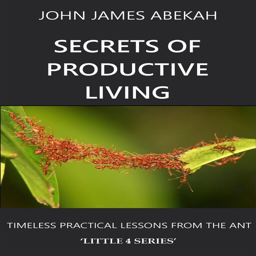 SECRETS OF PRODUCTIVE LIVING, John James Abekah