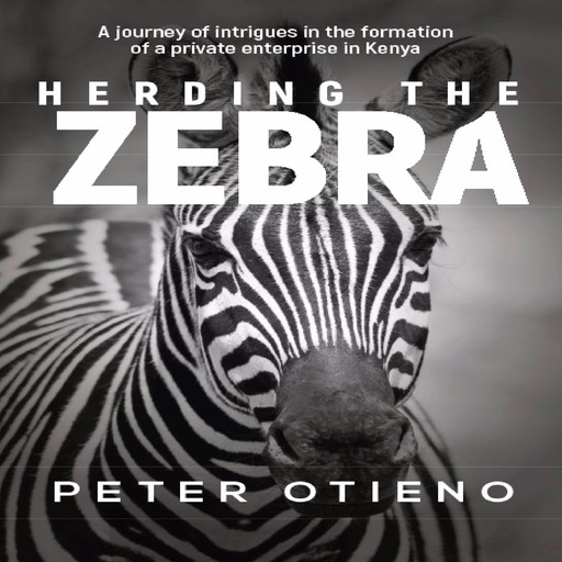 Herding the Zebra, Peter Otieno