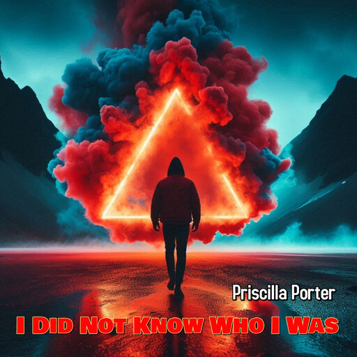 I Did Not Know Who I Was, PRISCILLA PORTER