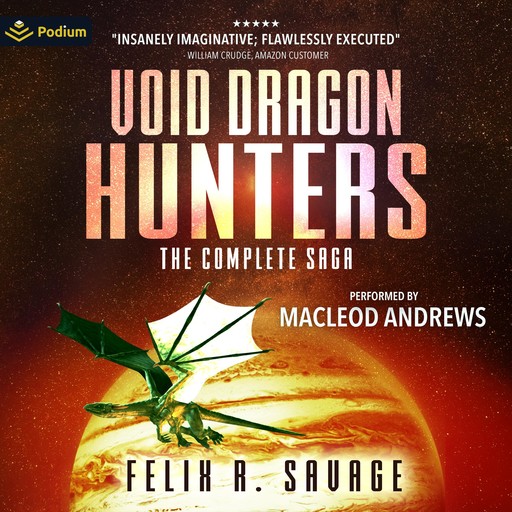 Void Dragon Hunters, Felix R. Savage