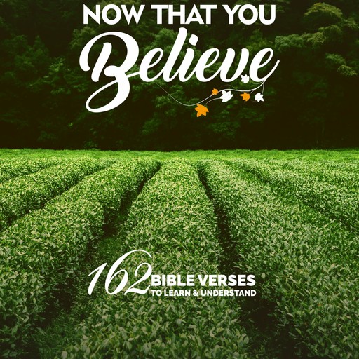 Now That You Believe, B. Akintokun