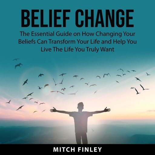 Belief Change, Mitch Finley