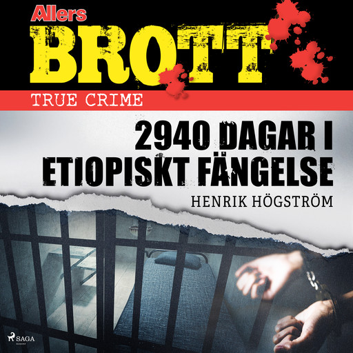 2940 dagar i etiopiskt fängelse, Henrik Högström