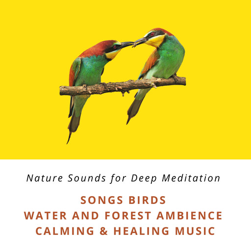 Nature Sounds for Deep Meditation: Song Birds, Water & Forest Ambience, Bird Calls, Calming & Healing Music, Jona Teichmann