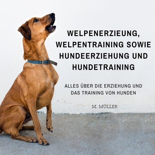 Welpenerzieung, Welpentraining sowie Hundeerziehung und Hundetraining, Müller
