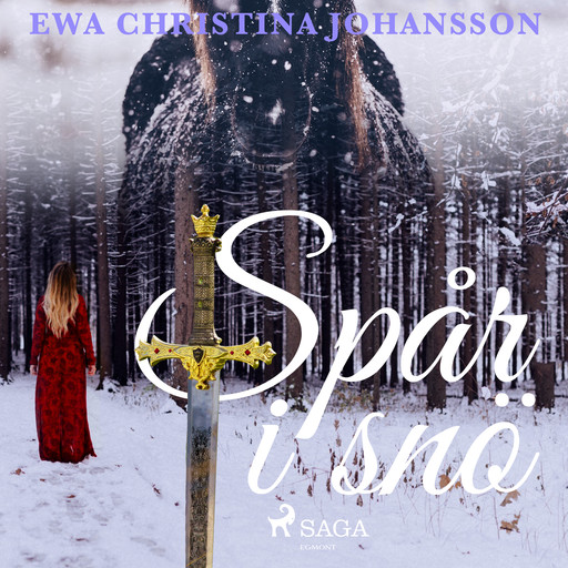 Spår i snö, Ewa Christina Johansson