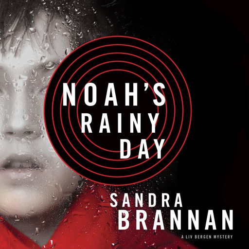 Noah's Rainy Day, Sandra Brannan