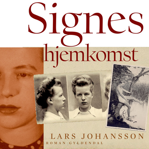 Signes hjemkomst, Lars Johansson