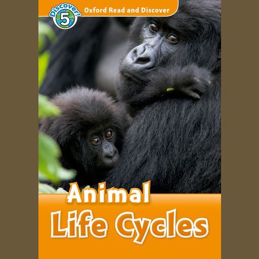 Animal Life Cycles, Rachel Bladon