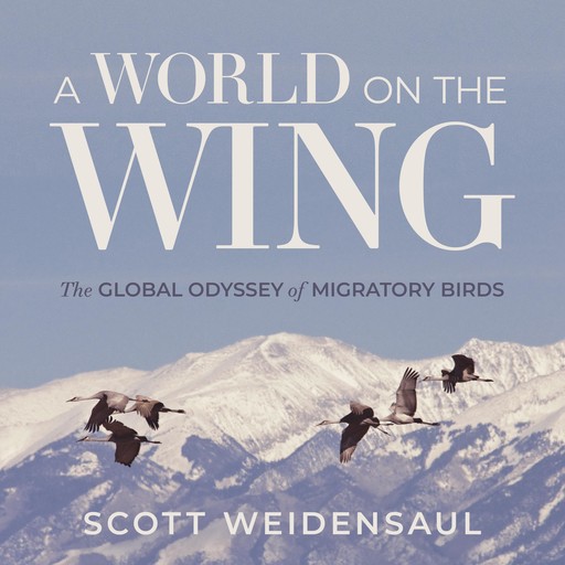 A World on the Wing, Scott Weidensaul