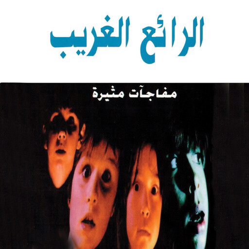 الرائع الغريب, فوزي بركات