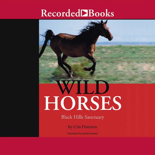 Wild Horses, Cris Peterson