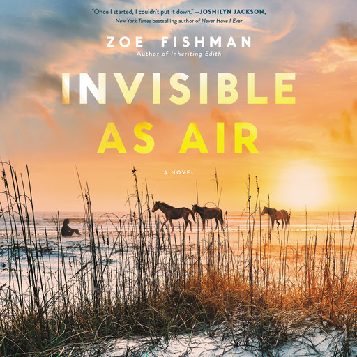 Invisible as Air, Zoe Fishman