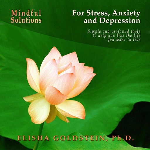 Mindful Solutions for Stress, Anxiety, and Depression, Elisha Goldstein