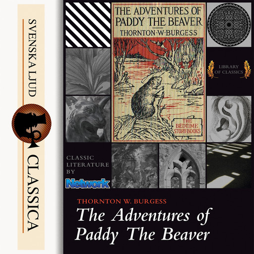 The Adventures of Paddy the Beaver, Thornton W Burgess