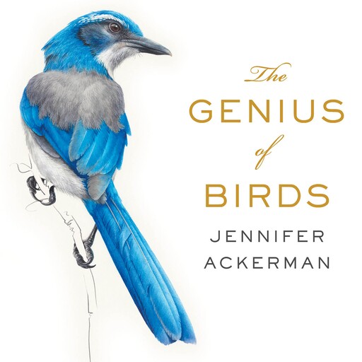 The Genius of Birds, Jennifer Ackerman