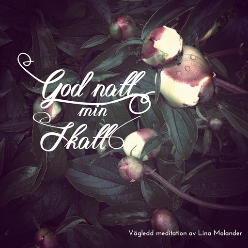 Godnatt min skatt, Lina Molander