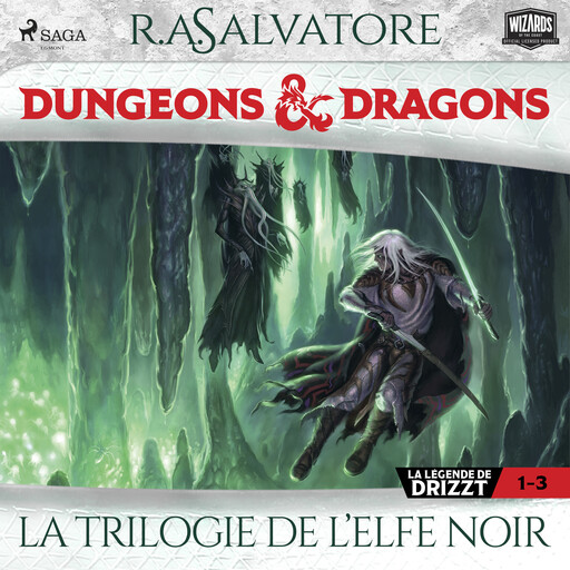 Compilation Dungeons & Dragons 1-3: La Trilogie de l’Elfe Noir, R.A. Salvatore